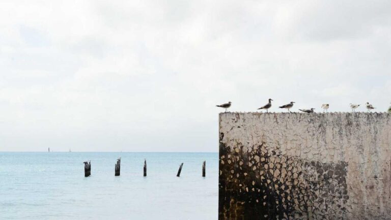 Can I Recover My Credentials Through 11Xplay Online Id Login?